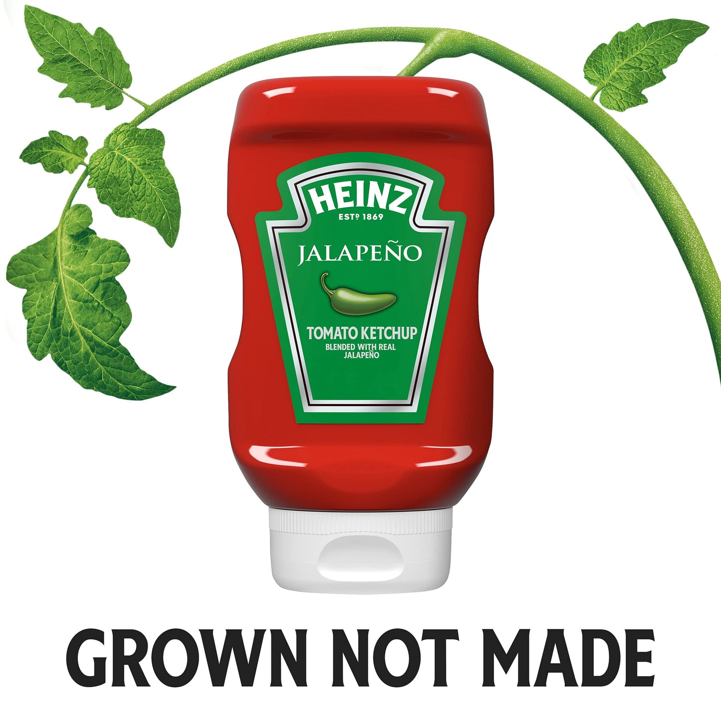 Heinz Jalapeno Tomato Ketchup Blended With Real Jalapeno 14 Ounce (Pack Of 6)