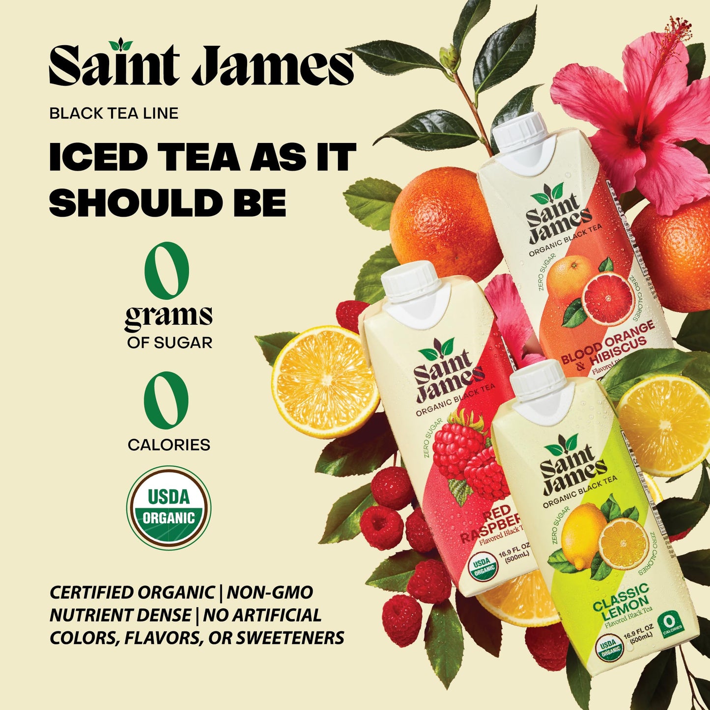 Saint James Iced Tea | Organic Black Tea | Organic, Non-Gmo Black Tea, 12 Pack (16.9Oz Each) (Blood Orange)