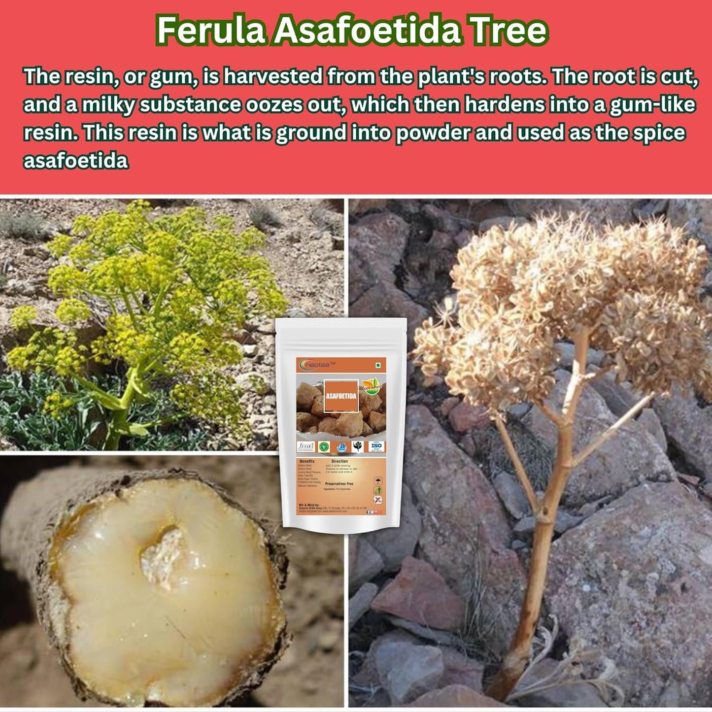 Neotea Organic Asafoetida | Pure Organic Hing | 300 Gm (10.58 Oz) | Hengu Ingu Kayam And Ting Whole | 100% Pure And Organic Food