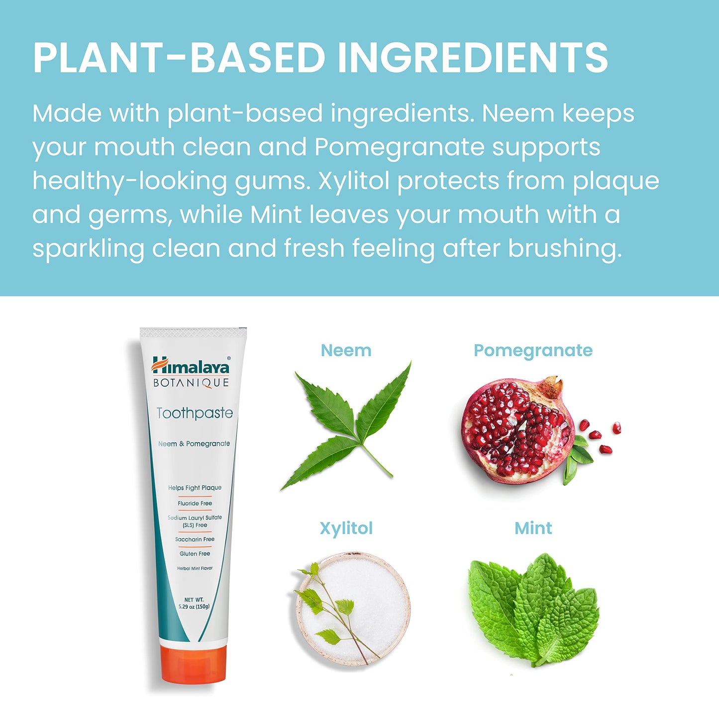 Himalaya Botanique Original Neem & Pomegranate Botanical Toothpaste,Fights Plaque,Brightens Teeth,Fluoride Free, No Artificial F