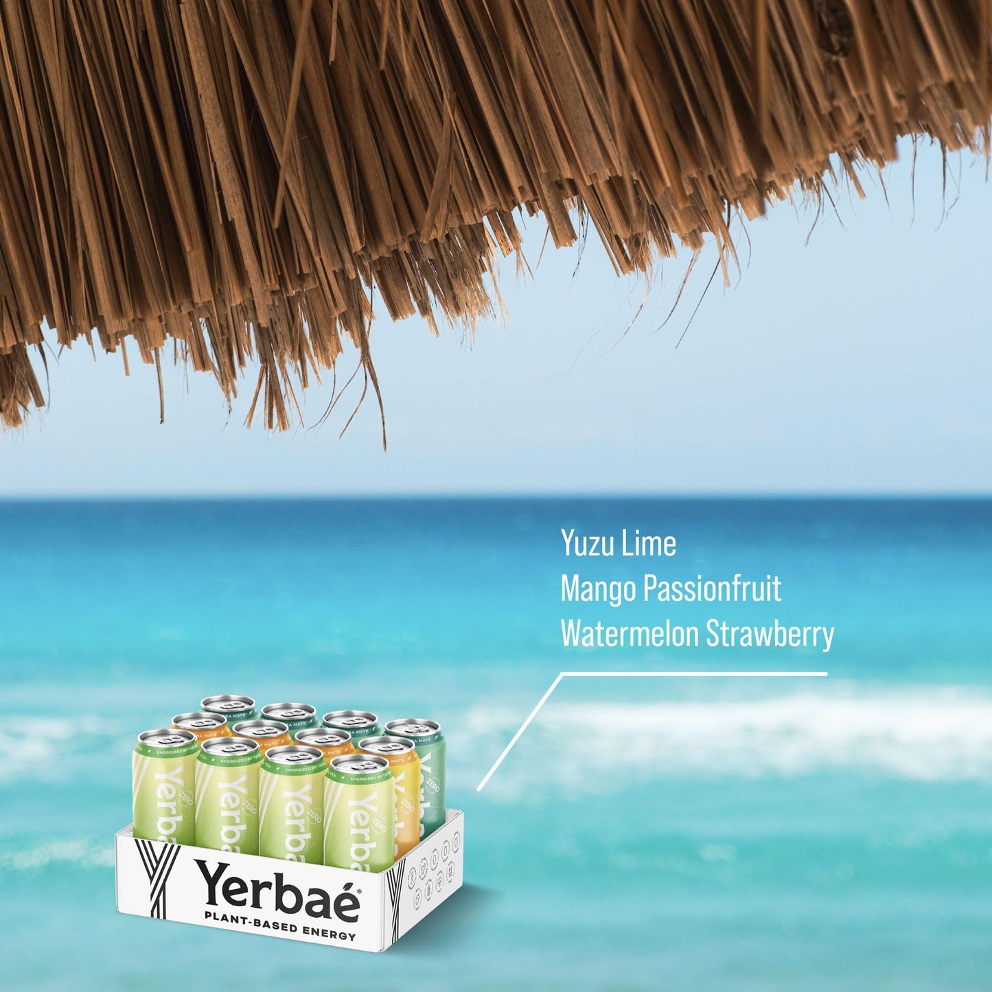 YERBAÉ Yerbaé Variety Flex Pack - Functional Energy Drink, 0 Sugar, 0 Calories, 16oz (Pack of 12), Assorted Flavors