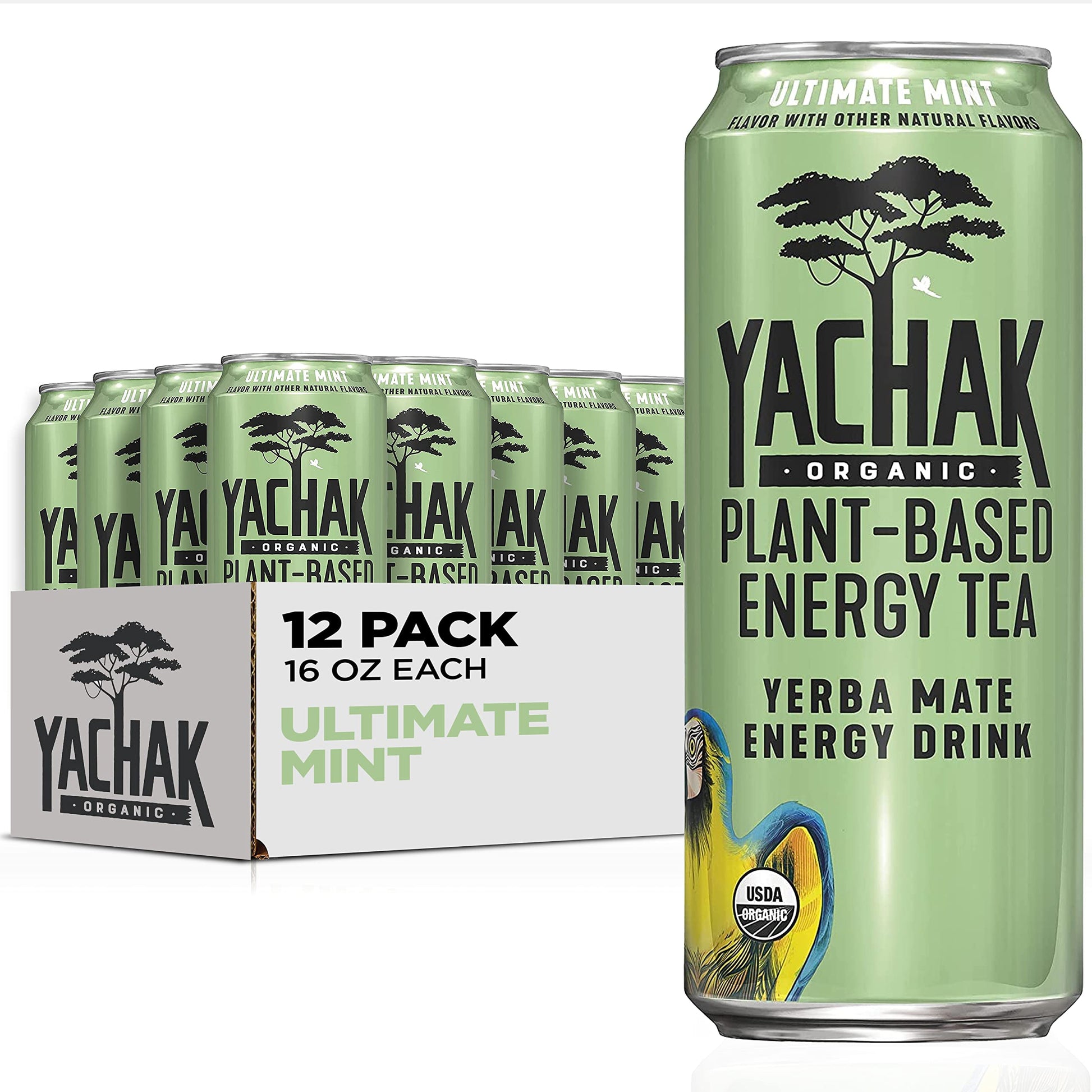 Yachak Yerba Mate Drink, Ultimate Mint, 16 Fl Oz, Pack of 12