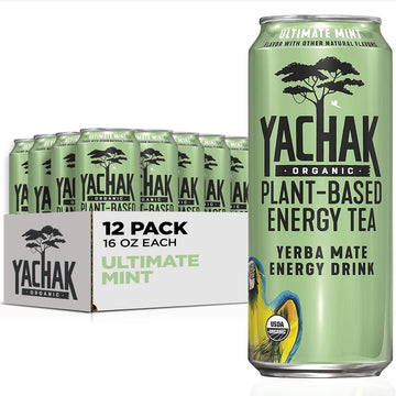 Yachak Yerba Mate Drink, Ultimate Mint, 16 Fl Oz, Pack of 12