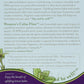 Lifestyle Awareness Calm Flow Tea, Caffeine Free, Lemon Balm, Pack of 6, Model LYVUPQM