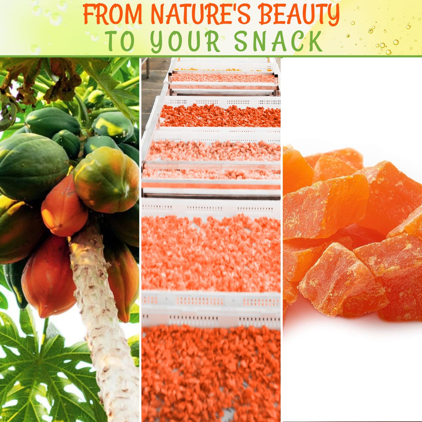 Dried Papaya Chunks | 2 Lb - Dried Fruit Chunks | Less Sugar Added | Dehydrated Fruit Bites | Packed In New York Zip-Seal Bag For Exceptional Freshness By Oh Nuts