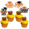 Gyufise 24Pcs 2025 Senior Graduation Cupcake Toppers with Glitter Senior Class of 2025 Cupcake Picks Senior 2025 Cupcake Decorat