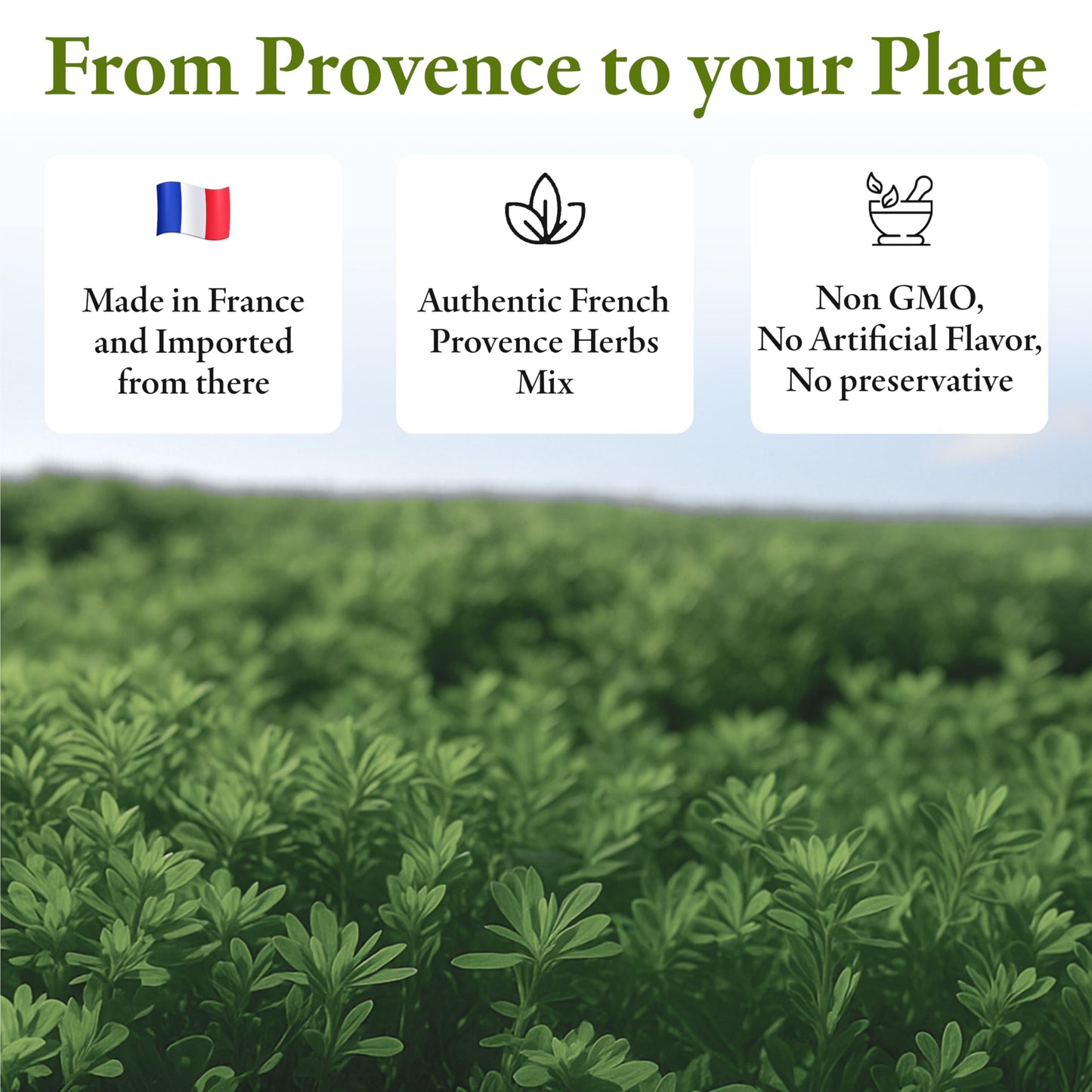 Straight From France Genuinely French, Provence Herbs Mix Seasoning from France 1.76oz