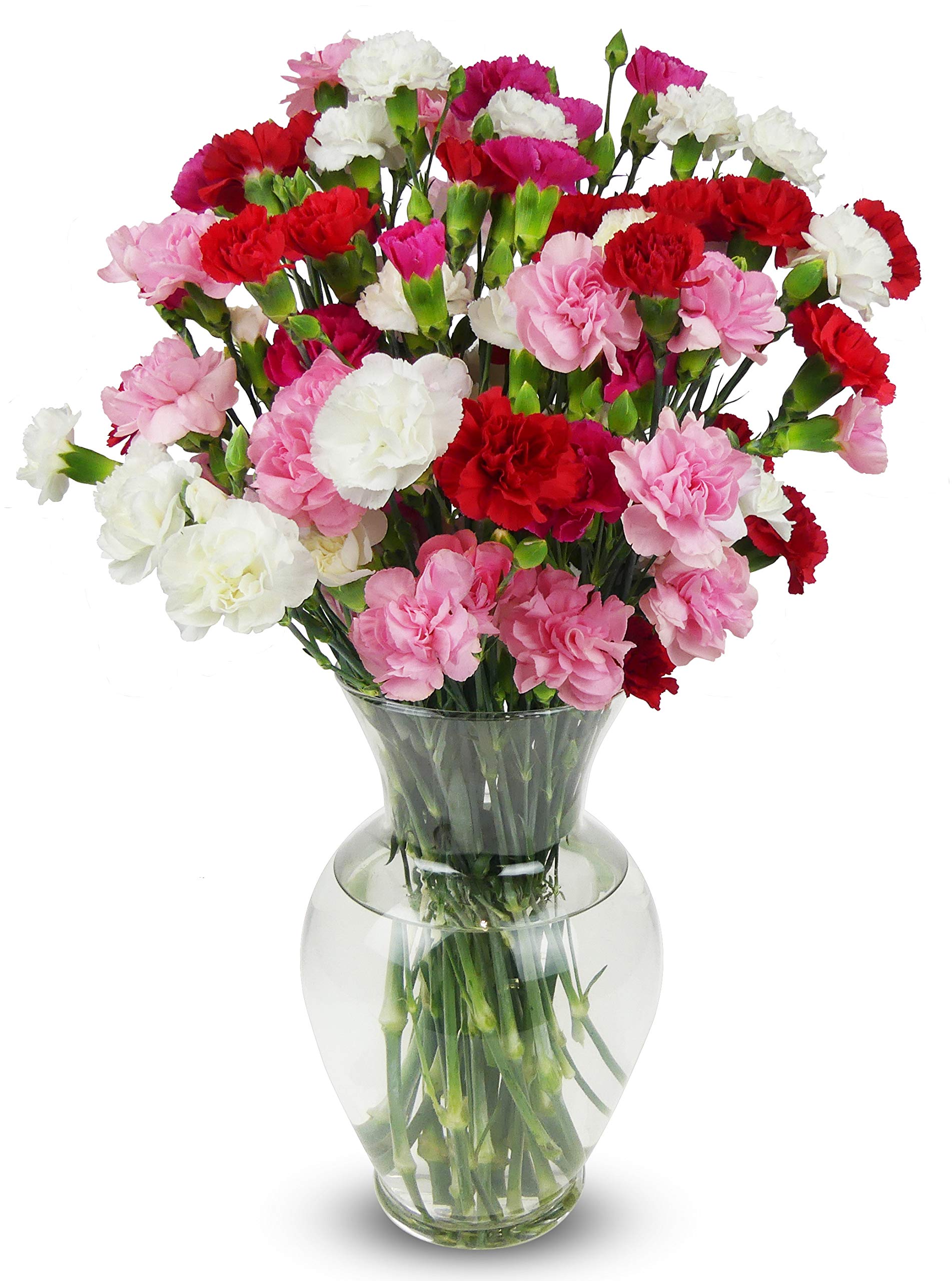 Benchmark Bouquets - 20 Stem Rainbow Mini Carnations (Glass Vase Included) - Fresh Flowers for Delivery - Gift for Graduation, B