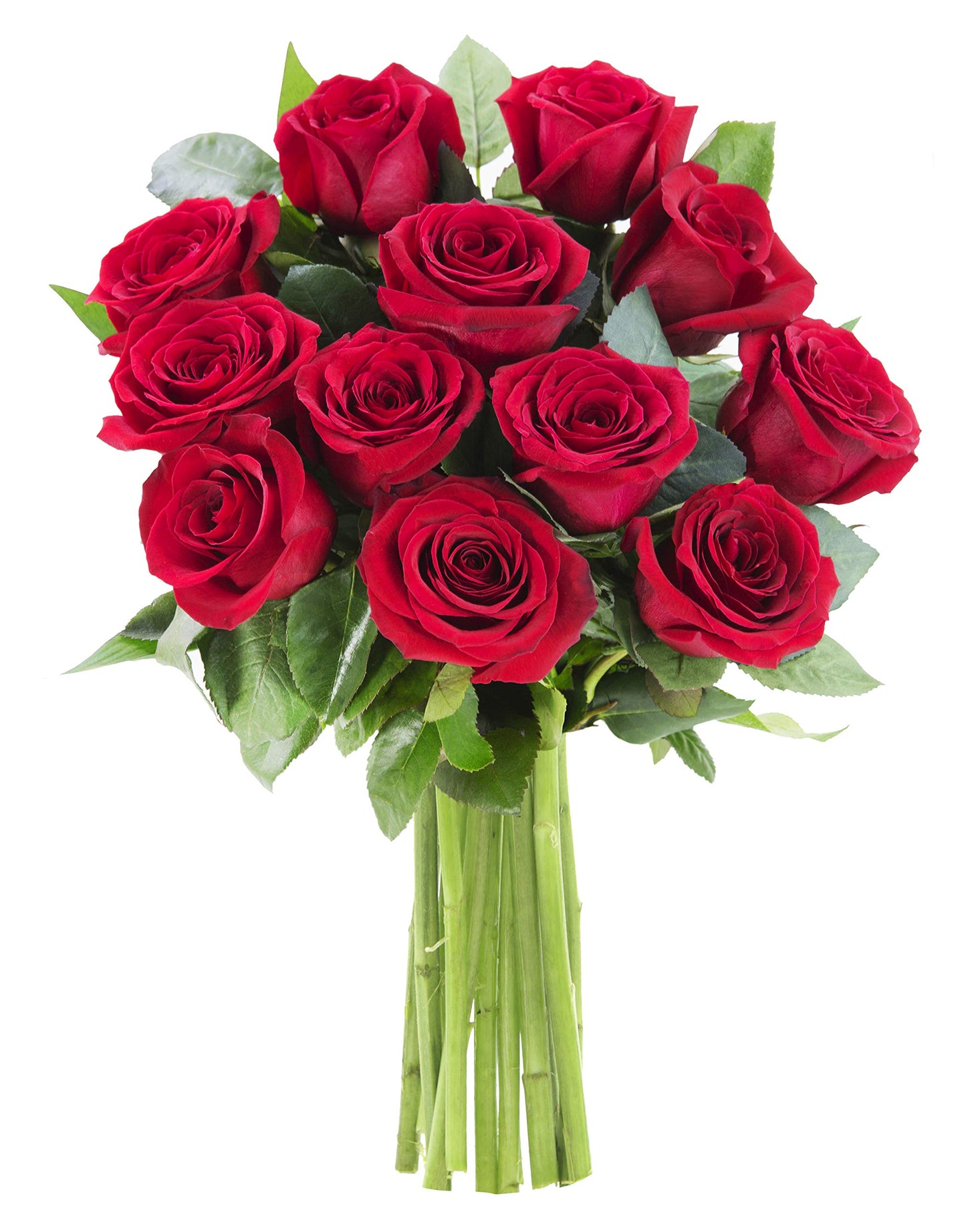 KaBloom Romantic Bouquet - 12 Fresh Red Roses - Gift for Birthday, Anniversary, Valentine - Model KADF4305-V999-A999