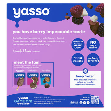 Yasso Frozen Greek Yogurt Bars Black Raspberry Chip Bars 4 Count for a ridiculously creamy frozen snack made with the goodness o