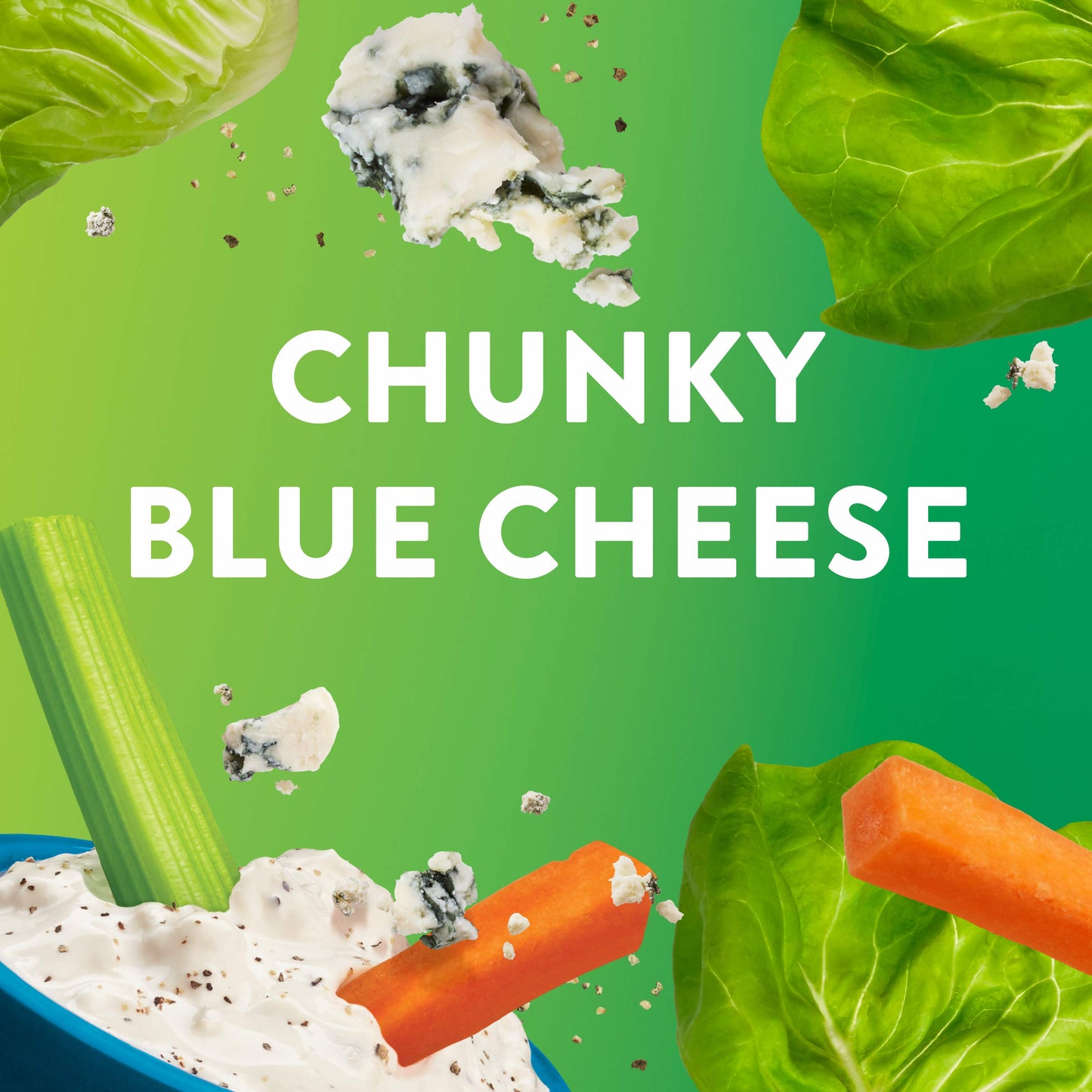 Wish-Bone Fat Free Chunky Blue Cheese Salad Dressing, 15 Fl Oz