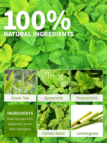 Teelux Mint Green Tea Bags, Green Tea With Peppermint, Spearmint And Lemongrass, Caffeinated, 100% Real And Natural, 100 Count