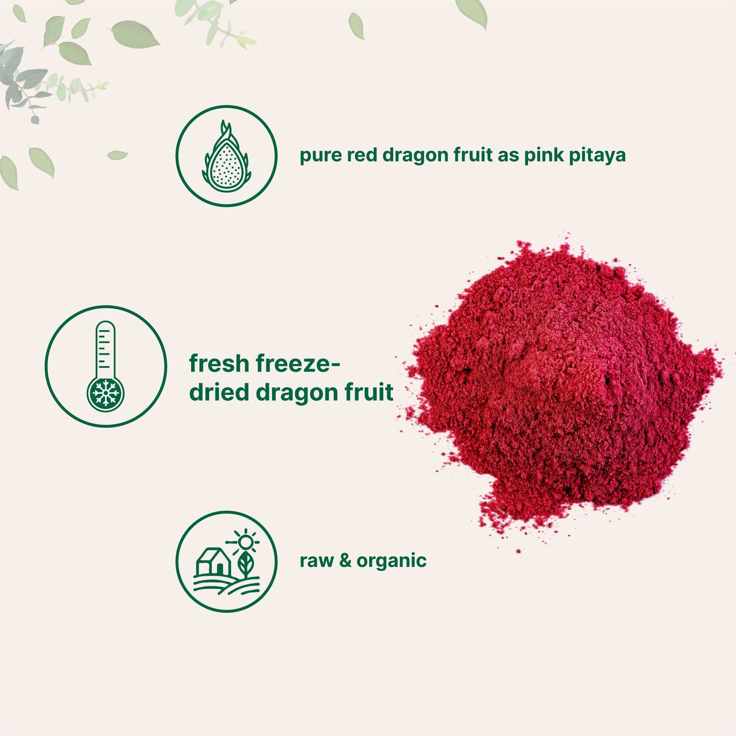 Organic Dragon Fruit Powder, 10oz | 100% Natural Fruit Powder | Freeze-Dried Pink Pitaya Source | No Sugar & Additives | Great F
