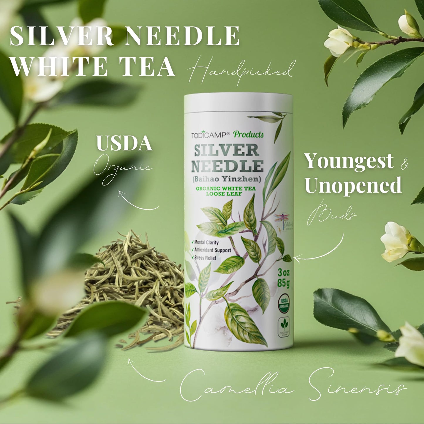 TODICAMP Silver Needle White Tea - Loose Leaf, Rich in Antioxidants - 3 Ounce Pack - White Silver Needle Tea