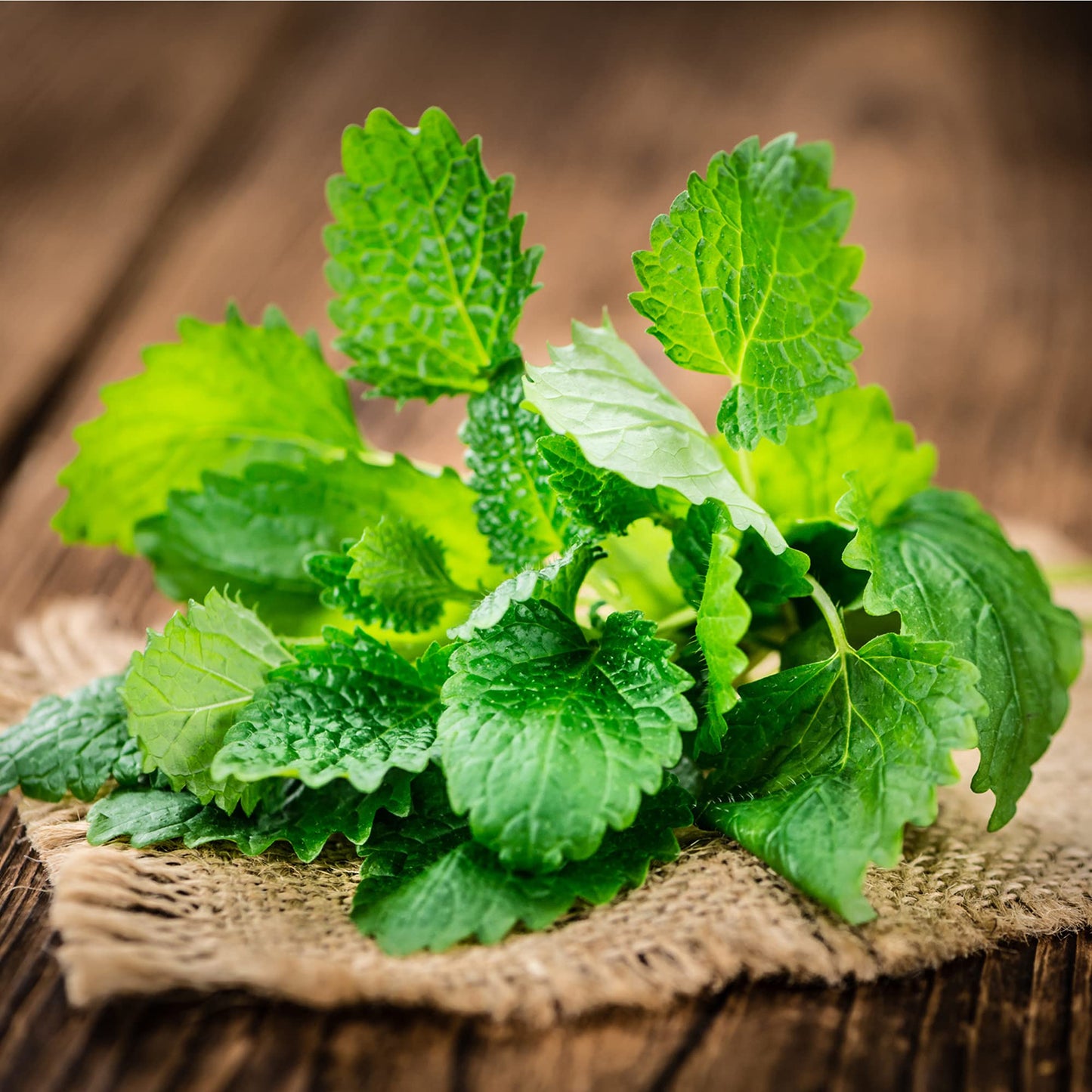 Frontier Co-Op Organic Cut & Sifted Lemon Balm Leaf 1Lb