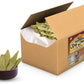 Rani Bay Whole Leaf (Leaves) Spice Hand Selected Extra Large 240Oz (15Lbs) 6.81Kg Bulk Box ~ All Natural | Gluten Friendly | Non-Gmo | Vegan | Indian Origin (Tej Patta)