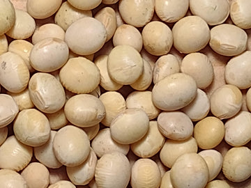 Organic Soybeans- Nongmo, 5 Lbs., Farmer Direct, Identity Preseved, Dry Soybeans For Tofu And Soymilk.