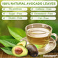 BOTAMONY 65 Premium Avocado Leaf Tea Bags, Organic, Non-GMO, 100% Natural, Caffeine-Free, 2g each