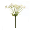 Queen Annes Lace Stem (Set of 2) 29H Plastic