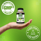 Garcinia Cambogia