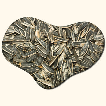 Unsalted Sunflower Seeds Fresh baked(1lb)