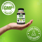 Garcinia Cambogia