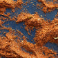 Elliott Bay Seasoning
