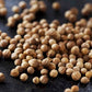 European Coriander Seed