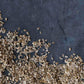 Dill Seed