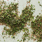 Emerald City Seasoning