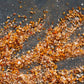 Svaneti Seasoned Salt
