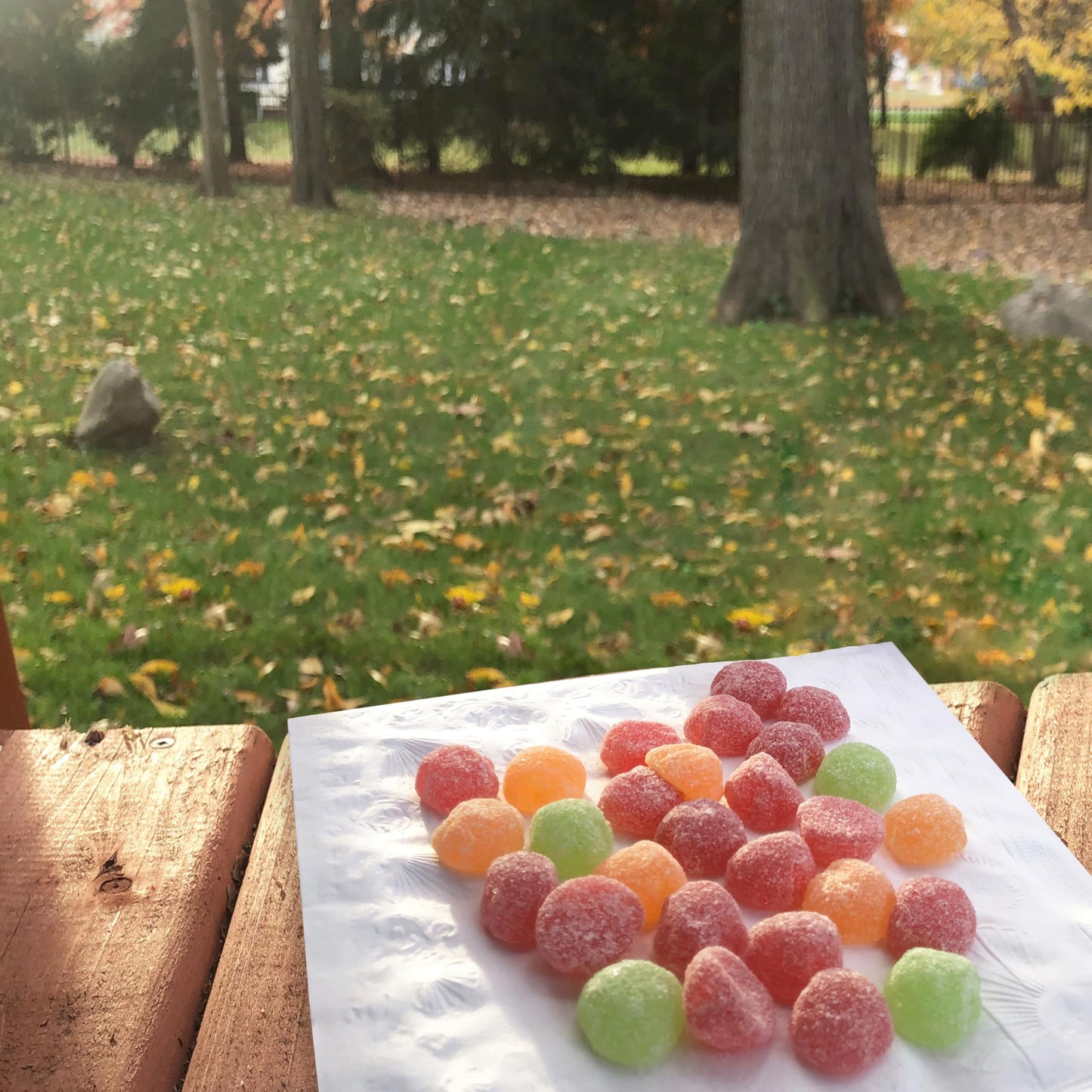Sour Patch Kids Soft & Chewy Candy, Apple Harvest, 10 Ounce (Pack of 6), Green/Orange/Red