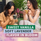 Starbucks K-Cup Coffee Pods, Vanilla Lavender Flavored Coffee For Keurig Coffee Makers, 100% Arabica, Limited Edition, 1 Box (10