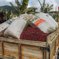 Costa Rican Coffee, Finca Las Mercedes Tarrazu, Whole Bean, Medium Roast, Washed Process, Fresh Roasted, 16-Ounce