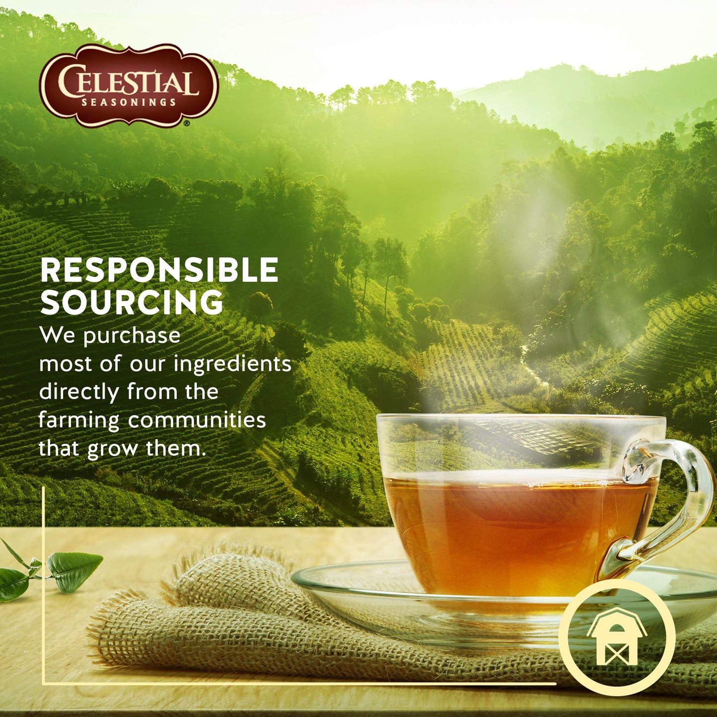 Celestial Seasonings Herb Tea Ctry Peach Passn 20 Bag
