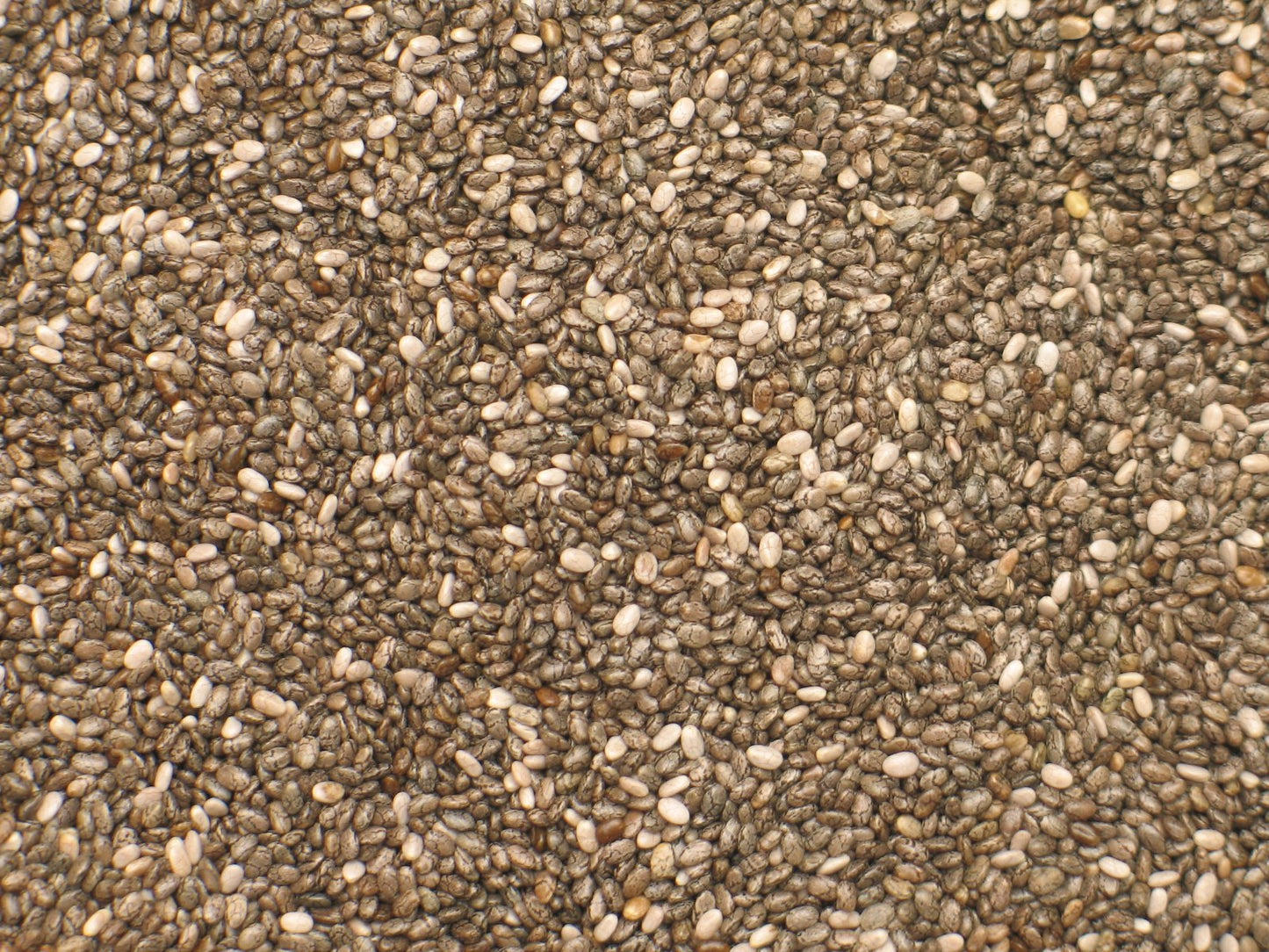 Yupik Organic Raw Black Chia Seeds, 2.2 lb, Non-GMO, Vegan, Gluten-Free (Pack of 2)