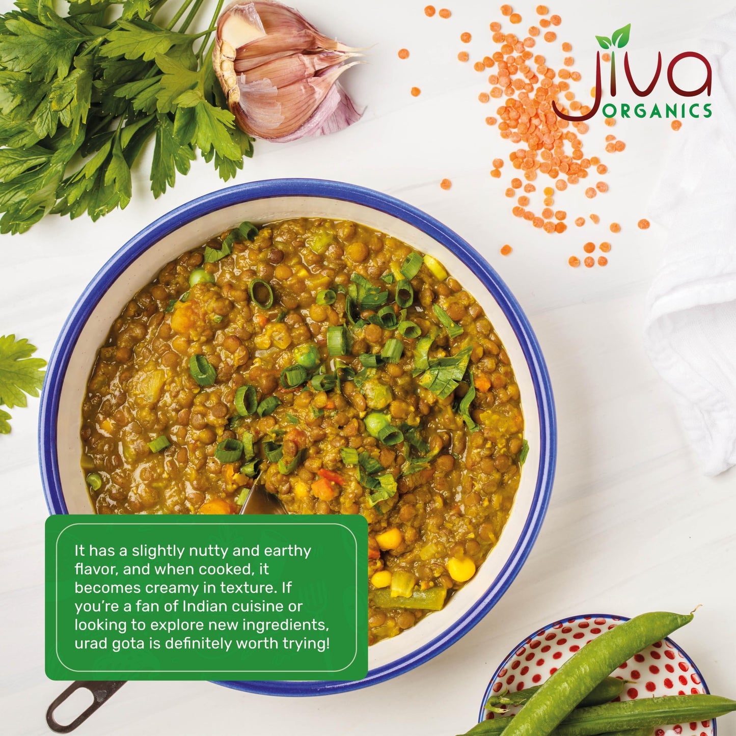 Jiva Organics Urad Gota 4 Lb Large Bag (Whole Urid White) - Vegan, Non Gmo
