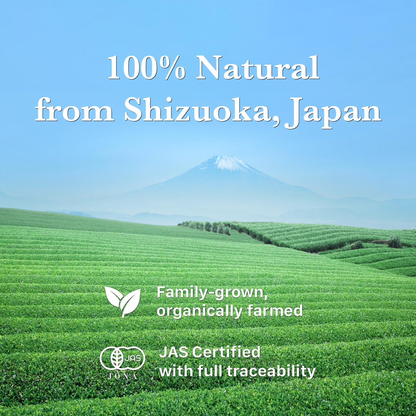 KYOHAYASHIYA Organic Matcha Powder - Ceremonial Grade Japanese Green Tea - 30g (1.06oz)