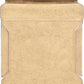 Rani Amchur (Mango) Ground Powder Spice 16oz (1lb) 454g PET Jar ~ All Natural, Indian Origin | No Color | Gluten Friendly | Vega