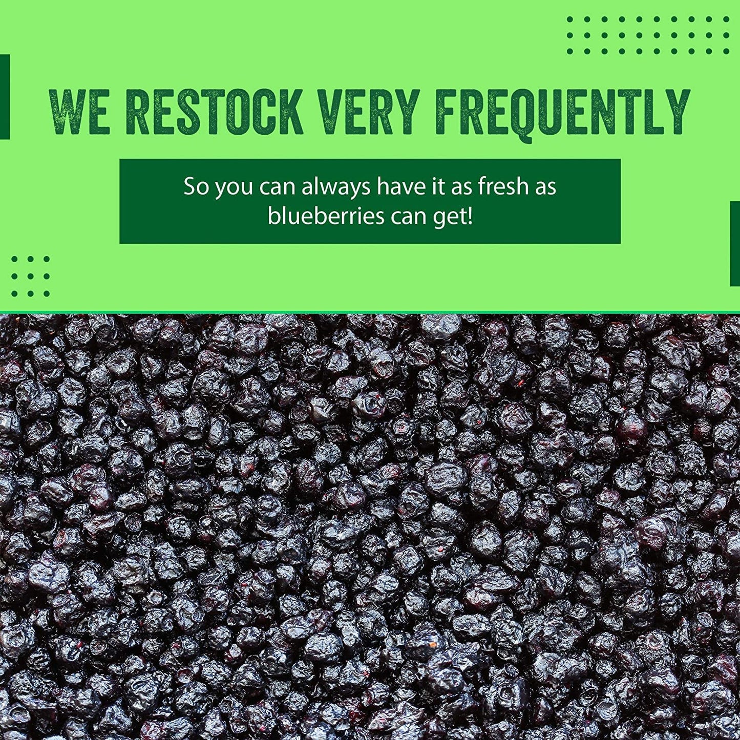 Dried Blueberries 1 lb (16 oz) - Gluten-Free & Peanut-Free  Slightly Sweetened - Great for Baking & Snacking - Berries with Benefits
