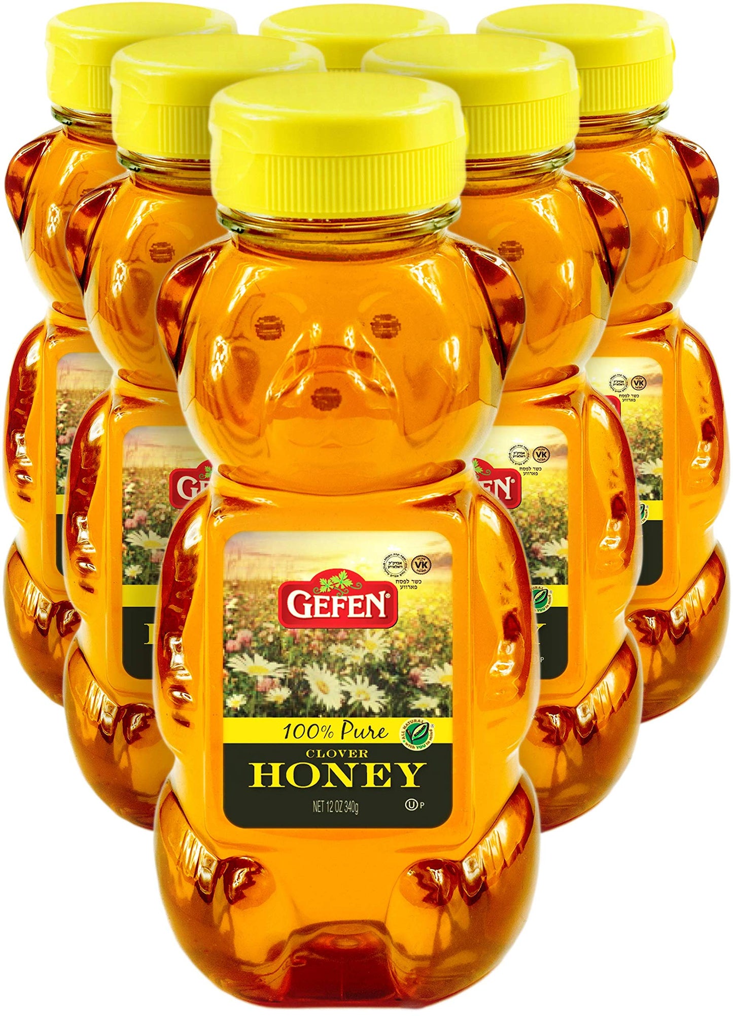 Gefen Us Grade A Honey Bears, 12Oz (6 Pack) 100% Clover Honey, No Fillers, Gluten Free