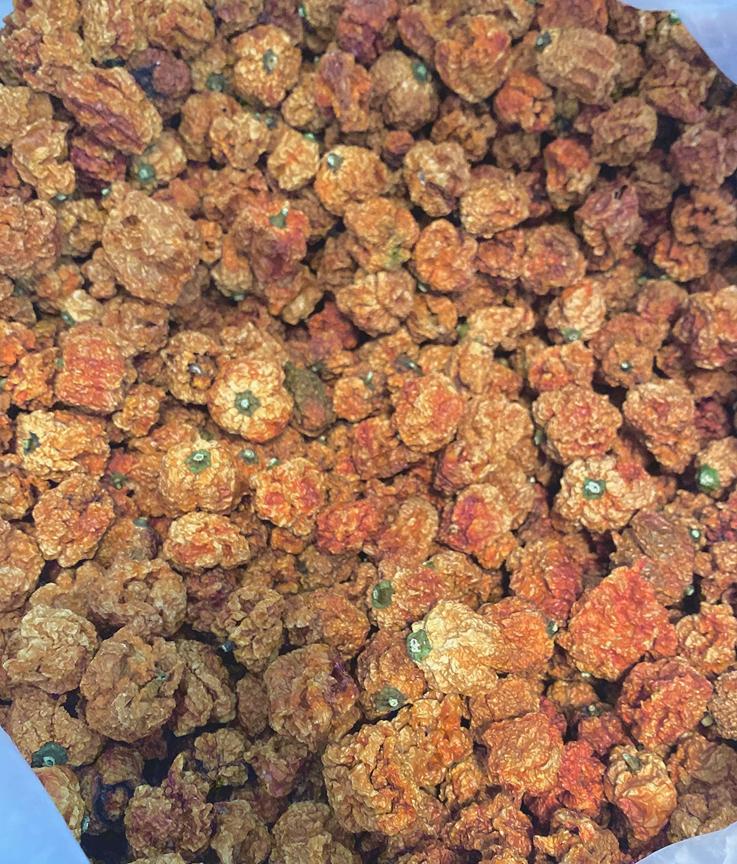 G GT LEAF Whole Dried Carolina Reaper Chili Peppers, 8 Count, Bonus Peppers, Color A3019