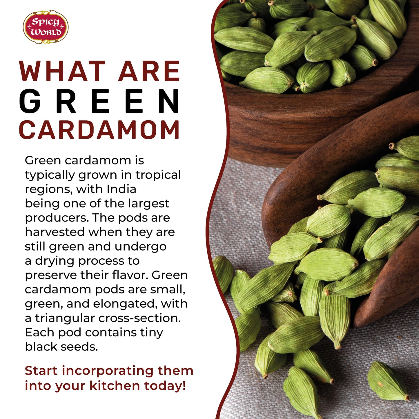 Spicy World Whole Green Cardamom Pods 7 Oz Large Bag (200G) - Natural Spice, Vegan, Large, Aromatic - By Spicy World
