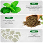 TeaDreamTea Peppermint Tea Bags - Caffeine Free Herbal Tea - 200 Count