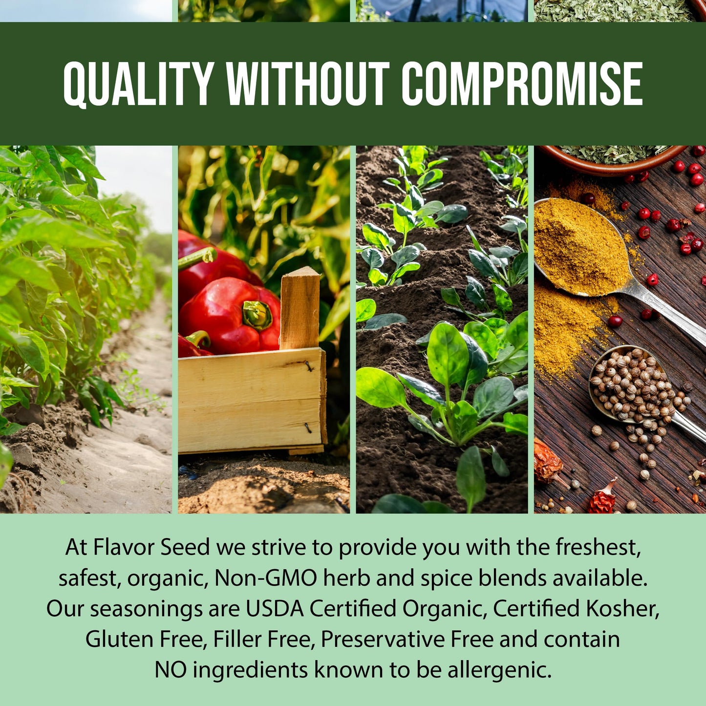 Flavor Seed Zilch Nada None, Organic No Salt Seasoning, Salt Substitute For Cooking With Herbs And Spices, All Purpose Seasoning