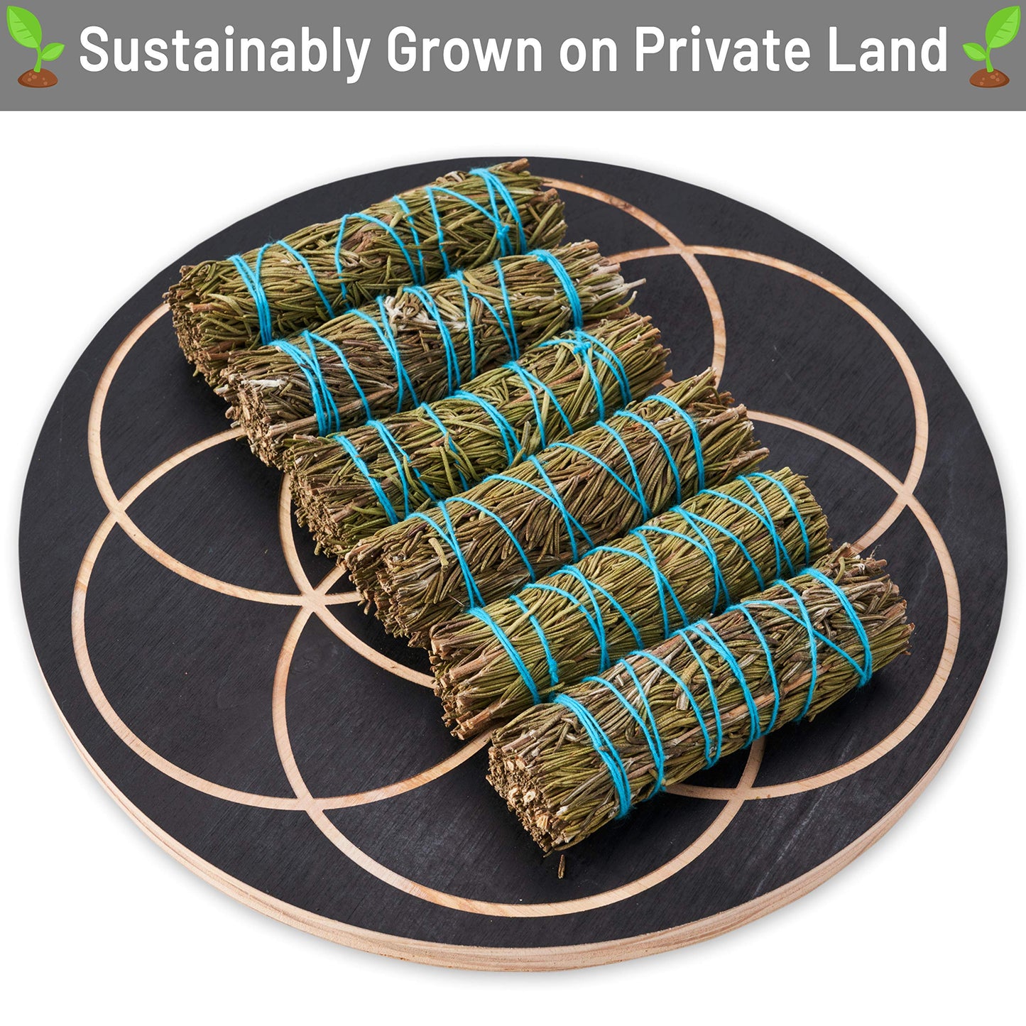 JL Local Rosemary Smudge Sticks - 4 Inch Sage Wands, Sustainably Sourced, Bulk Kit, Salvia Blanca for Cleansing