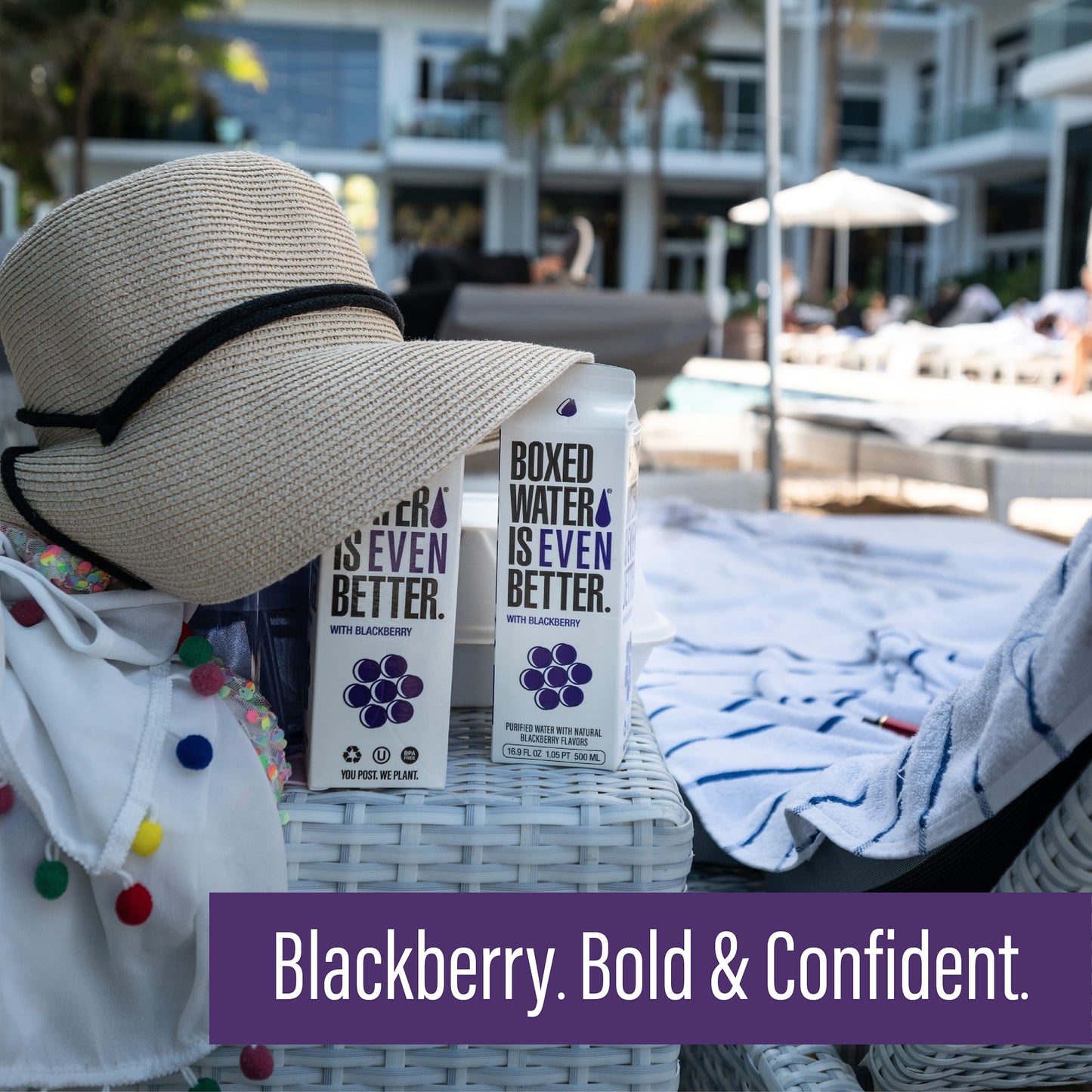 Boxed Water 16.9 Oz. (12 Pack) Blackberry Flavored Water - Purified Drinking Water In 92% Plant-Based Boxes – Zero Calories & Sugar Free, More Sustainable Than Plastic Bottled Water