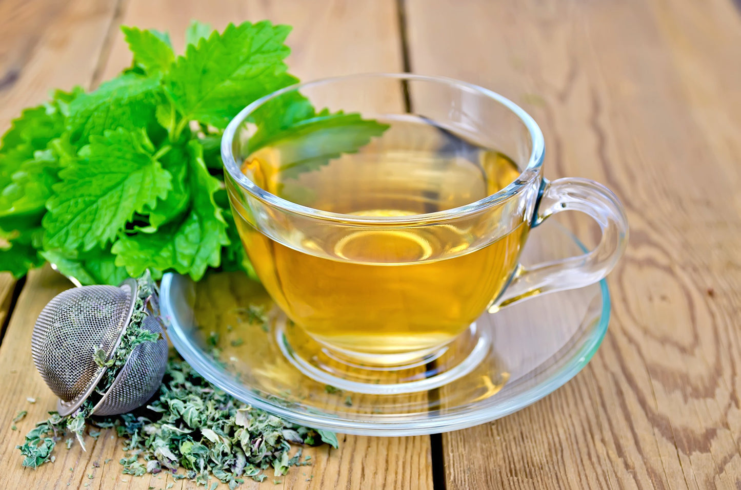 Lemon Balm (Herbal Tea): (Melissa Officinalis Caffeine Free) - Balm Leaf (Cut and Sifted)  1lb (16Oz) U.S. Wellness Bulk Tea