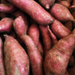 Kejora Japanese White Sweet Potatoes - 10 Lbs