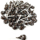 Chocolate Pops Bulk Candy 50+ Count Lollipops Suckers Variety Brown Only Value Pack Aprox. 2.25 Lbs (36 Oz)